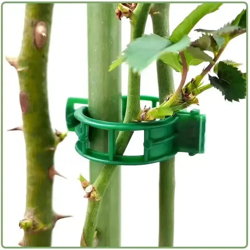 50-150Pcs Plant Support Clips Fixture Plastic Garden Plants Stalks Holder Strapping Clip For Climbing Plants Tomato Grape
