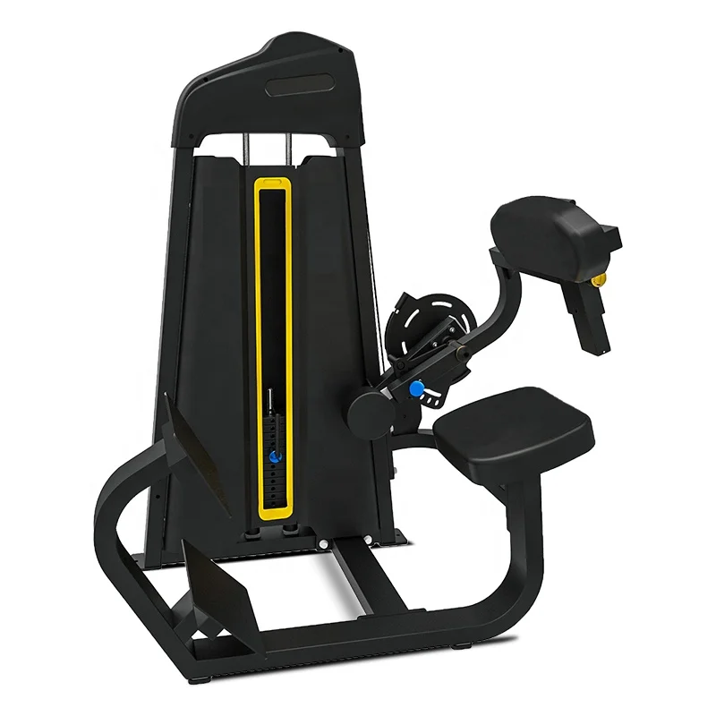 

Functional Training SHANDONG Commercial Fitness Equipment Back Extension Machine