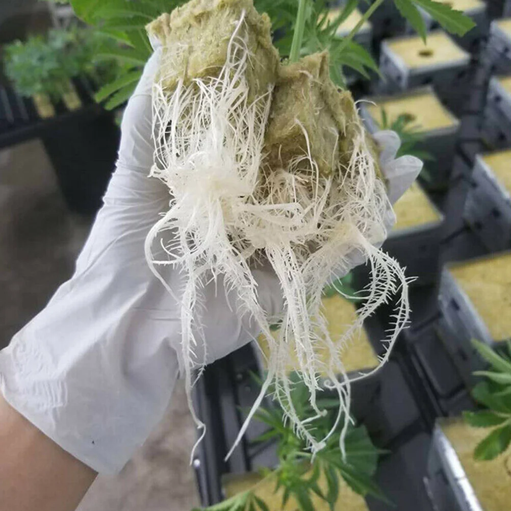 

50Pcs Soilless Plant Grow Cubes Starter Plugs Hydroponic Indoor Garden Seedling Grow Starter Plugs Soilless Substrate Plug