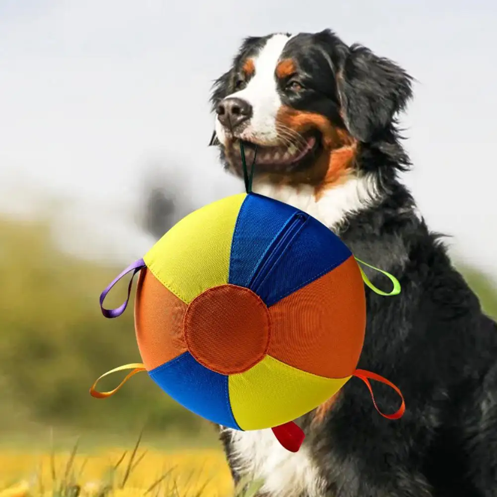 

Durable Herding Ball,Inflatable Interactive Training Toy for Sheep Horses Dogs Pet Exercise Play Ball