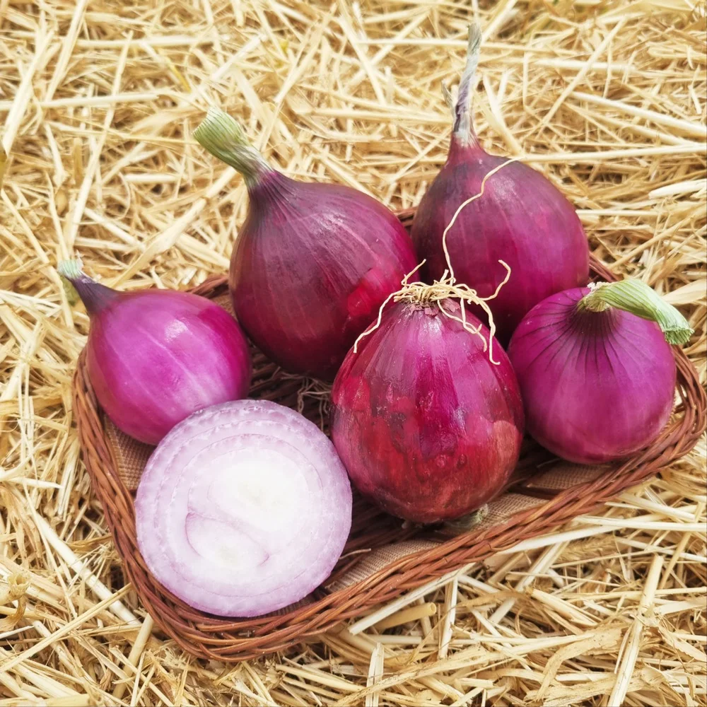 Cebollas moradas Haenam coreanas, tamaño mixto extra grande, 3 kg 4 kg