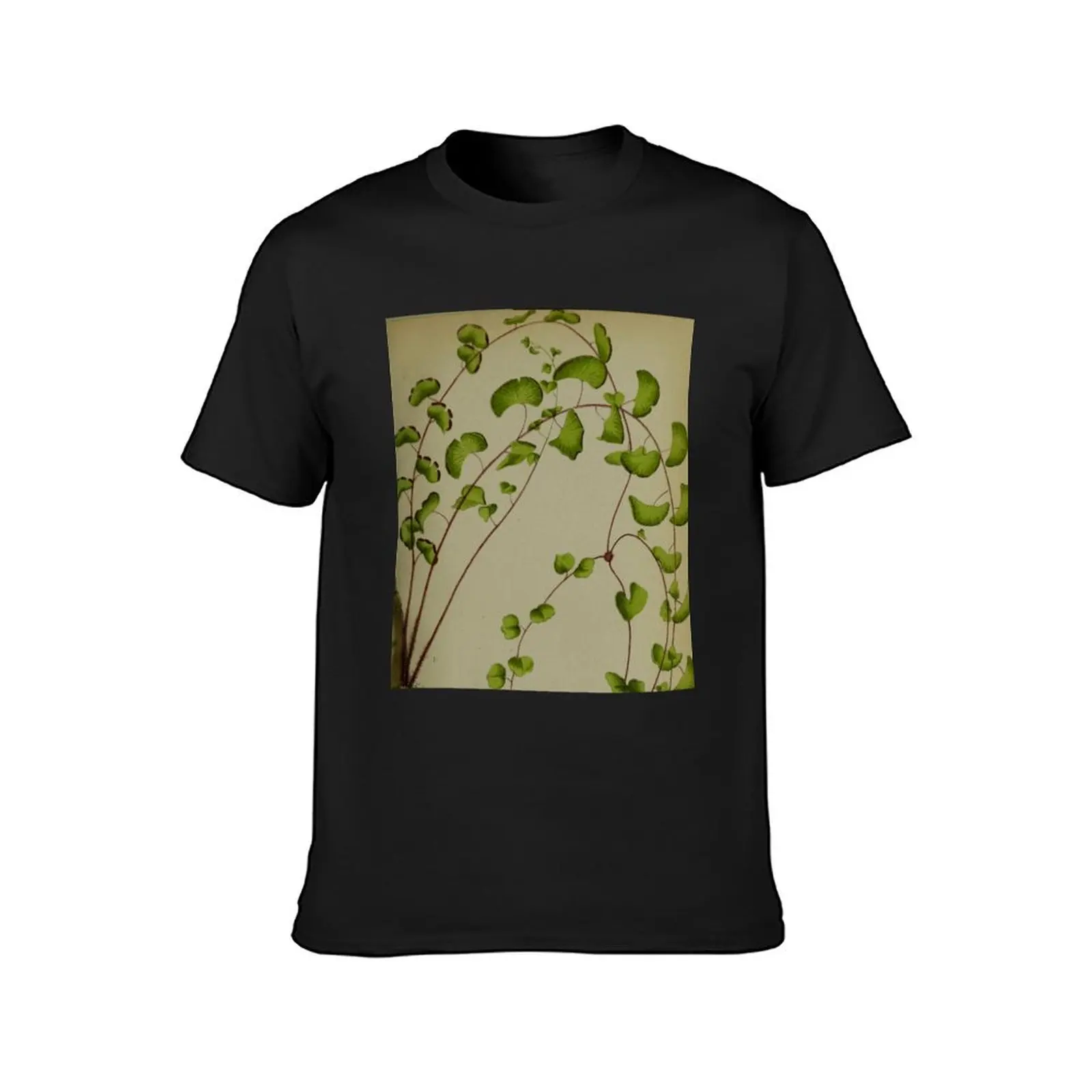 Botanical Fern T-Shirt sublime summer tops plus sizes mens tall t shirts