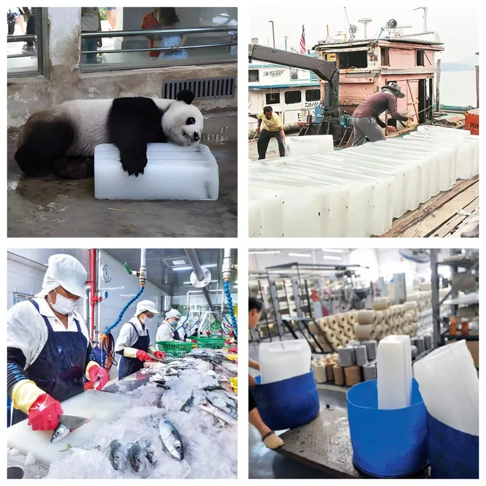 Professional Heavy-Duty 1000Kg/Day Fishery Ice Block Maker High-Automation Industrial Stainless Steel 220V