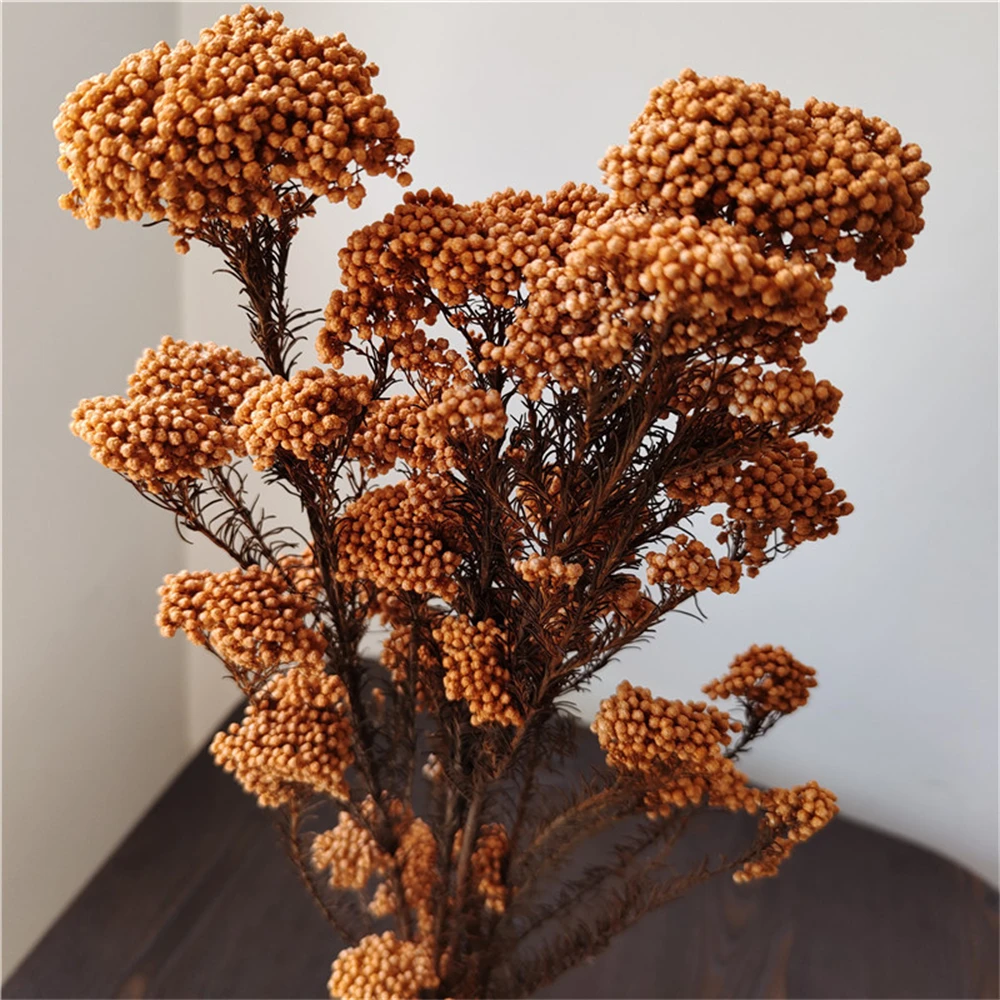 Natural Dried Flores Arrangements Fresh preserved Millet Flowe DIY Material,Wedding Decor Home Decoration Photo Props Parties