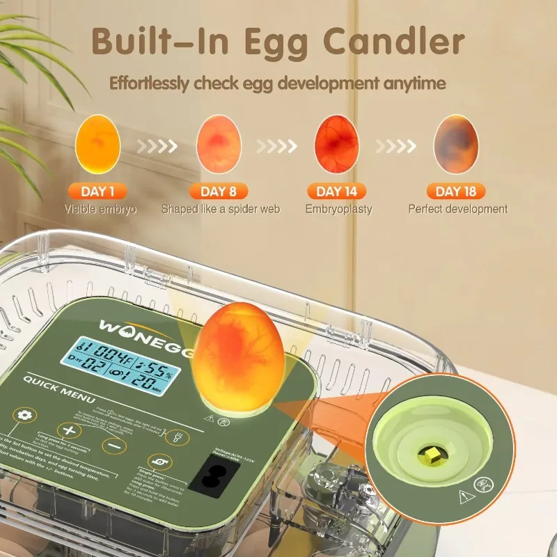 Heißer Verkauf 12-Eier-Ei-Inkubator mit konstanter Temperatur und Luftfeuchtigkeit, Kükenbrüter