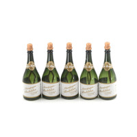 5Pcs Romantic Wedding Party Champagne Bottle Shape DIY Self Watering Bubble Bottles
