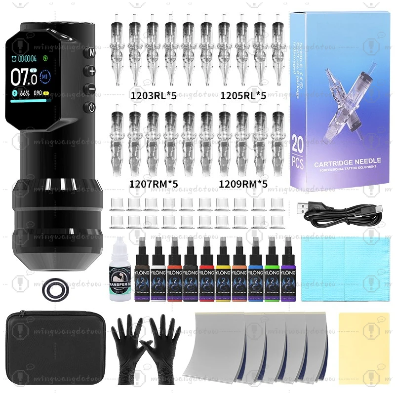 Tarter Tattoo Machine Set, All-in-one Tattoo Pen Kit with Cartridge Needles and Color Ink