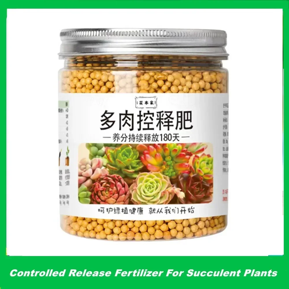 250g Succulent Plant Special Granular Slow-release Compound Fertilizer For Home Gardening