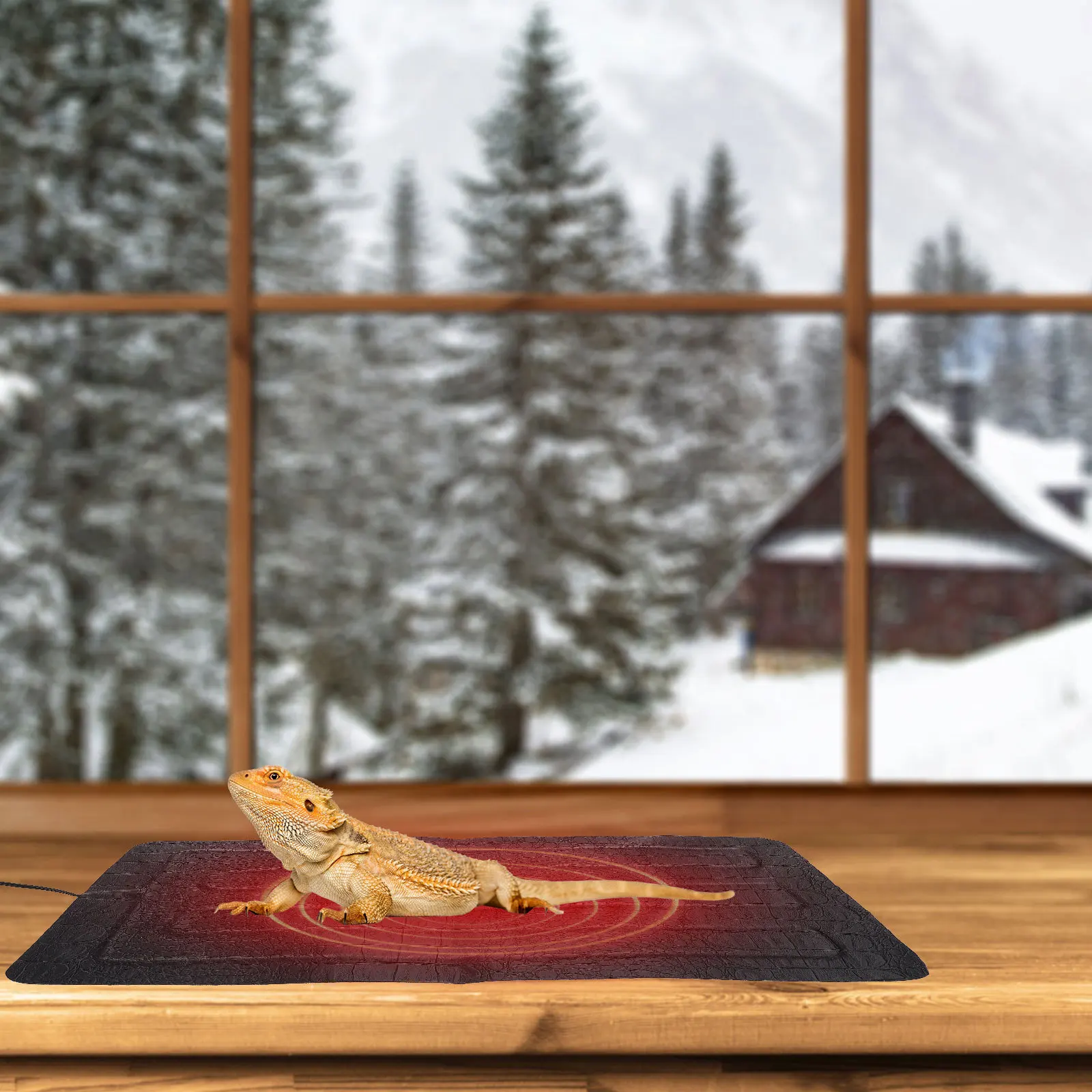 1 قطعة حصيرة الحيوانات الأليفة ساخنة الزواحف لوحة التدفئة وسادة كهربائية للحيوانات الأليفة الصغيرة معطف شتوي الزواحف لوحة التدفئة الزحف مستلزمات الحيوانات الأليفة