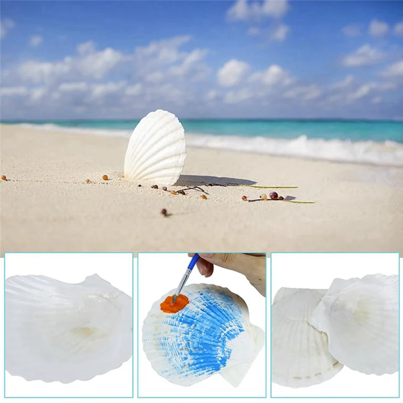 

ABYN-15 PCS Natural Sea Shell Large White, 4-4.7 Inch Scallop Shells For DIY Craft, Serving Food, Baking And More Durable