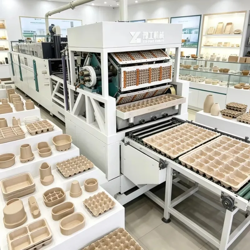 Customized High Capacity Egg Tray Machine Automatic Pulp Paper Forming Line For Egg Carton Fruit Tray Production