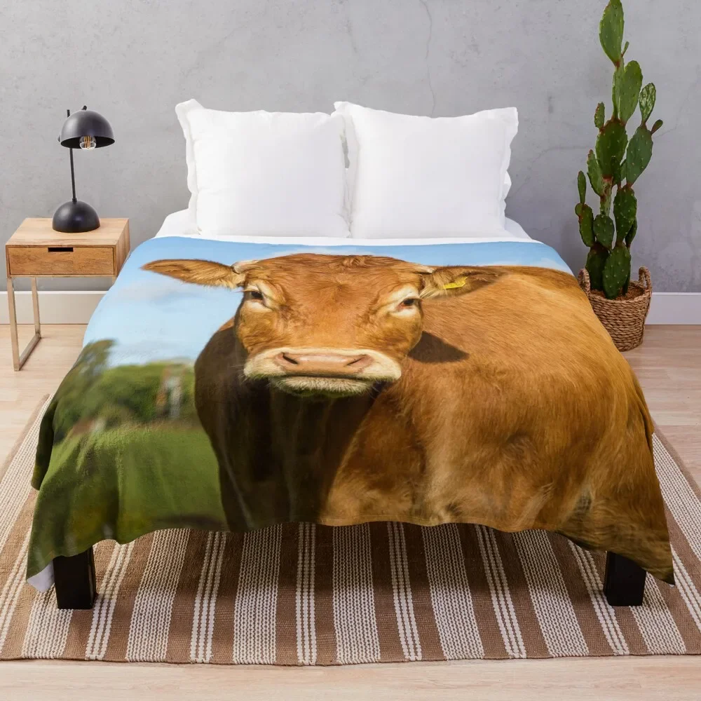 

Limousin Cow Throw Blanket Elegant Warm Throw Blanket for Hotel Home