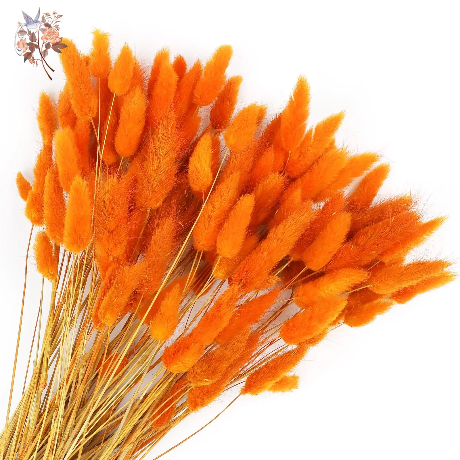 

140 PCS Dried Bunny Tails Flowers Lagurus Pampas Grass Home Garden Decor Orange Rabbit Tail Arrangements Boho Wedding Bouquets