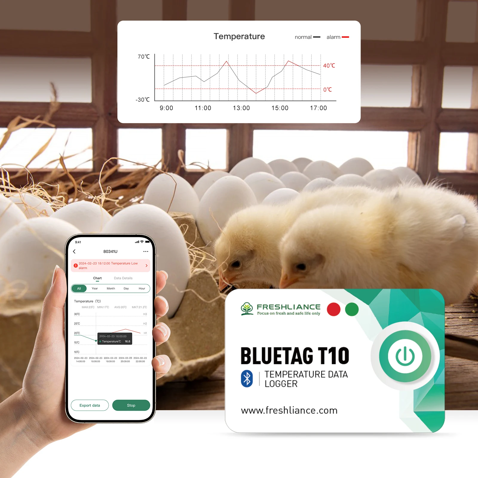 3 PCS 2024 Novo ótimo uso de telefone PDF Registrador de dados de temperatura BLE Sensor de temperatura com aplicativo gratuito