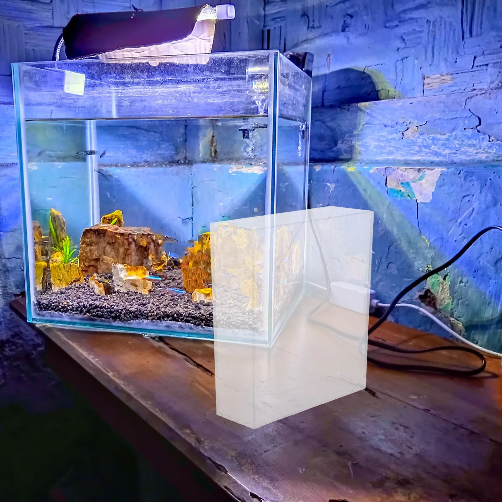 

Portable Transparent Fish Observation Box Small Lightweight Clear Tank for Betta Fish Breeding Home Aquarium Decor