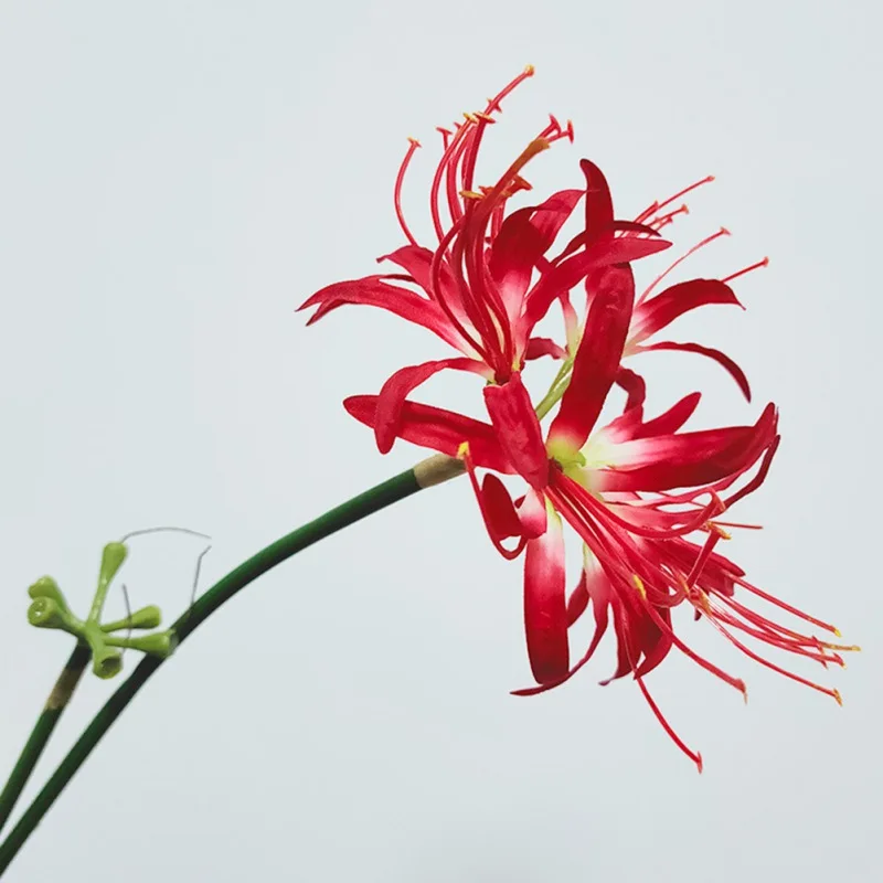 1PCS Artificial Red Spider Lilies Silk Flowers with Long Stem  Decoration Paramita Lycoris Radiata Mandala Manjusaka Silk Flower