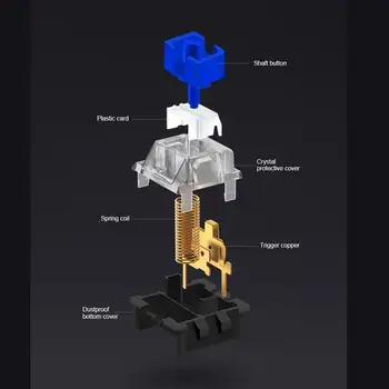 6 最佳銷售 切換紅龍 - №5