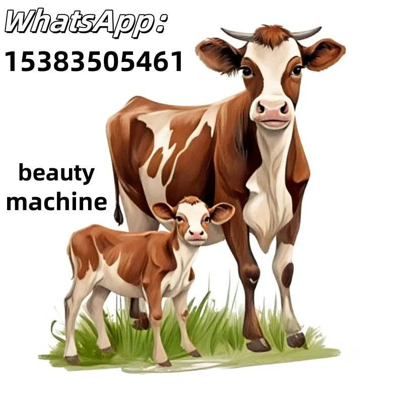 7 In 1 Multifunctio… - image