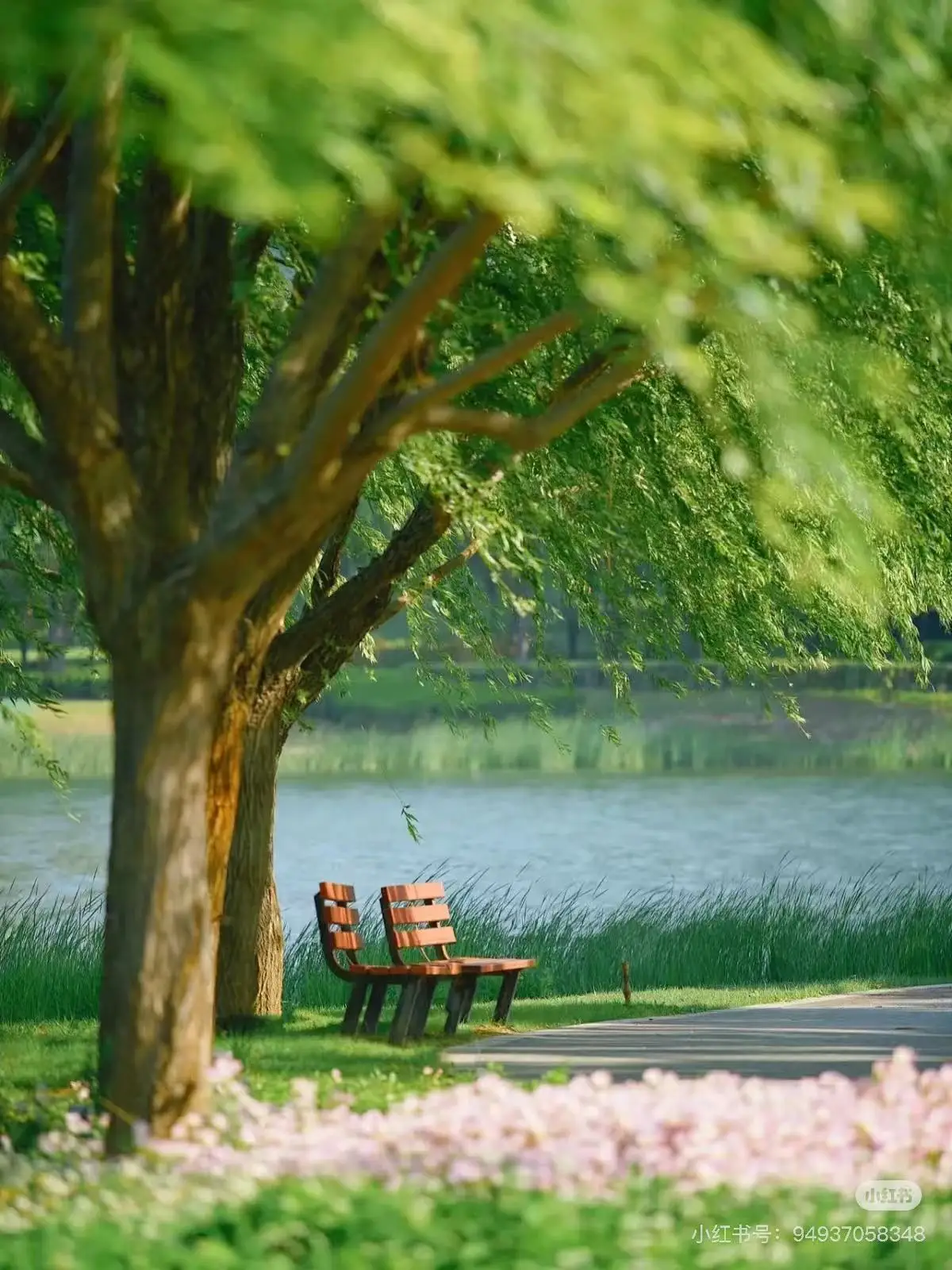 

Multifunctional Diode Laser Hair Removal Device 2 in 1 Picosecond Laser Tattoo Removal Machine 3 Wavelengths 4000W