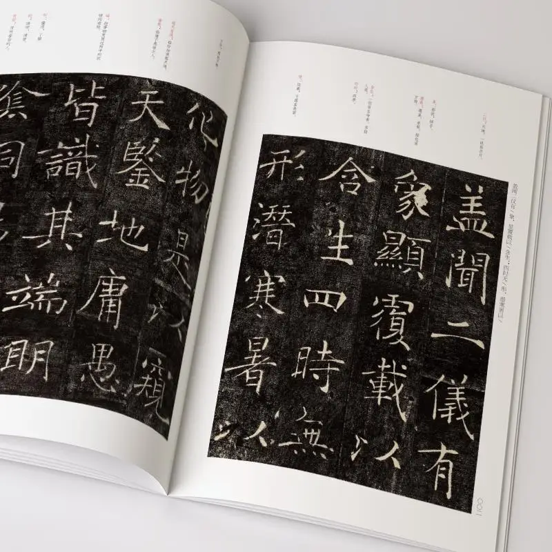 Chu Suiliang-Chinês Regular Script Caligrafia Copybook, Famoso Brush Pen, Cadernos Escrita Clássicos