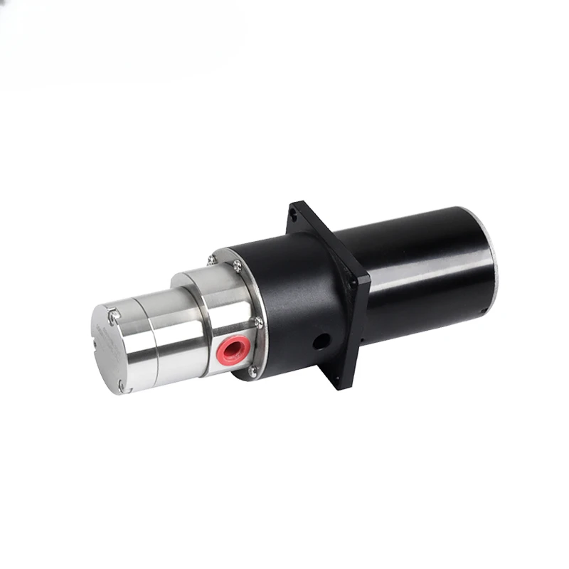 High Viscosity Fluid Transfer Water Oil Magnet Drive Pump 24V DC Motor Small Gear Pump Micro Gear Pump Manufacturers