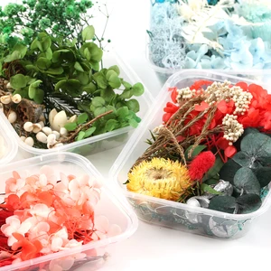 Natural real flowers for candle mold, epoxy resin, artificial plants, diy making decoration, home accessories, handicrafts, 1 box 10 Main Sales Natural Dry Flowers - №1