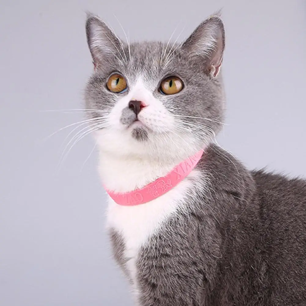 Pet Essential Oil Collar Safe Natural Anti Flea Mite Insecticide Lice Tools Pet Protection Collar Mosquito Dogs Cats Adjust Y3M6