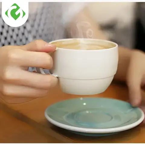 Solid color Coffee Mugs Plastic Milk cups Handgrip Microwaveable 330ml Drinking cup High temperature resistance 2 Optional shape