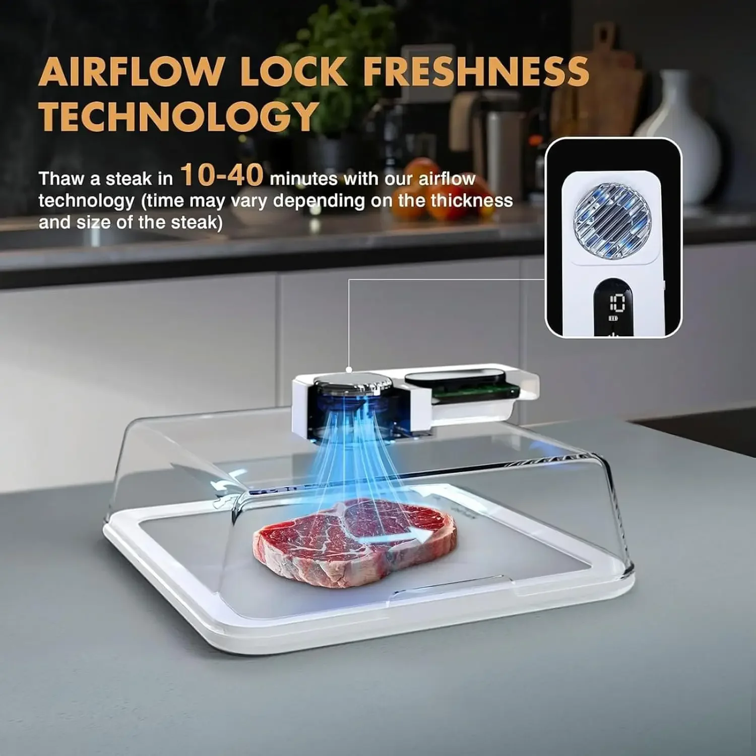 4.2L Electric Thawing Board, Meat Defrosting Tray, 10min Quickly Thaw, with 2000mah Battery, USB Rechargeable, No Cold/Warm Wate