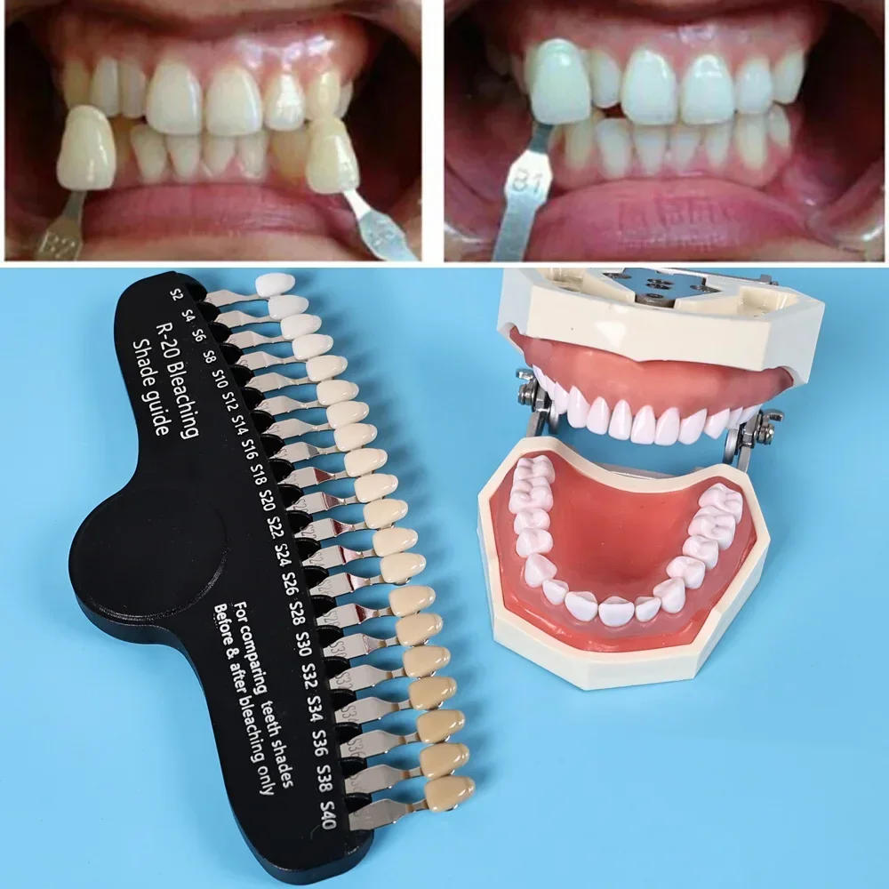ELIJAH R-20 Bleaching Shade Guide Dentistry 20 Colors 3D Teeth Whitening Comparing Toothguide Dentistry Colorimetric Plate