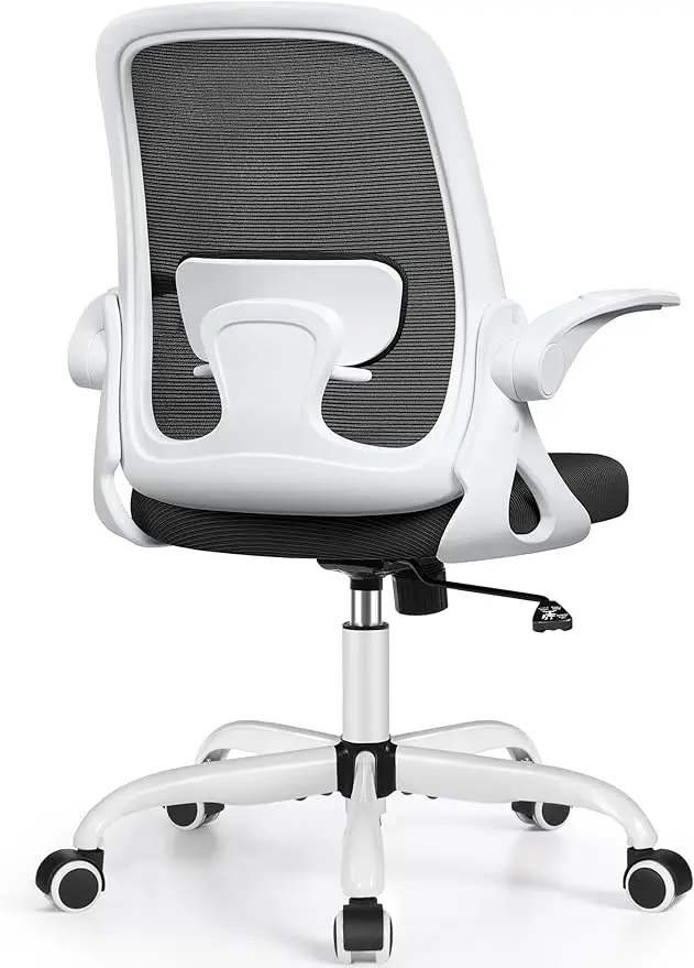 

Winrise Office Chair Ergonomic Desk Chairs with Lumbar Support and Flip-up Arms, Comfortable Breathable Mesh Computer Executive