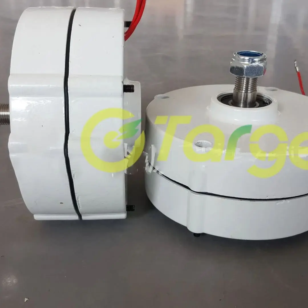 Home Use Generator 3KW 5KW 6KW 12V 24V 48V Low Speed Dynamo Gearless Permanent Magnet AC Alternators for Wind Water Turbine