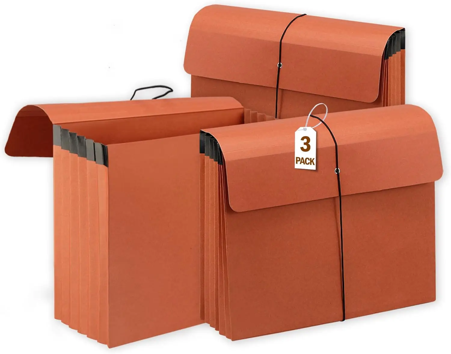 

3-Pack Heavy Duty Expandable File Folders with Flap, Elastic Cord Closure for Office, School, Home Organization