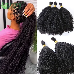 Bulk Human Hair For Braiding Afro Kinky Curly No Weft Indian Human Hair Extensions Wholesale Double Drawn Boho Braids Full End