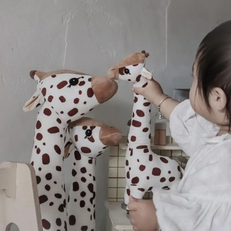 yZ[zq̂߂̖k̃L̂ʂ,KȐl`,,Ԃ̂߂̑