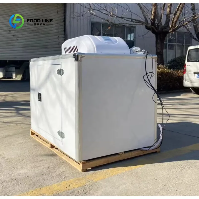 Customized New Energy Vehicle Refrigerator DC Freezer with 12V/48V/60V/72V/96V Voltage for Cold Room Storage Transportation