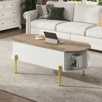 120*50*43cm Modern Coffee Table, with Height Adjustable Plate and 7 Storage Areas, Side Tables, Sofa Table with Hidden Storage