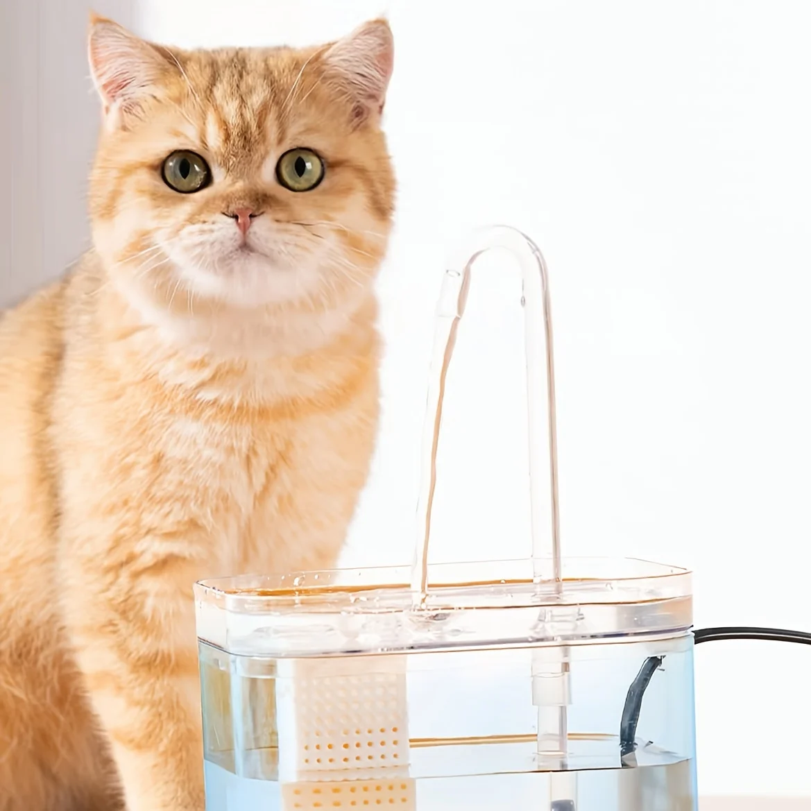 Automatic Pet Water Fountain, Transparent USB Power Cat Water Dispenser For Indoor Dog And Cat Water Feeding Supplies