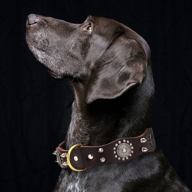 

Spiked Studded Dog Collar Luxury Genuine Leather Pet Collar For Medium Large Dogs Anti-bite Pet Necklace For Pitbull Bulldog