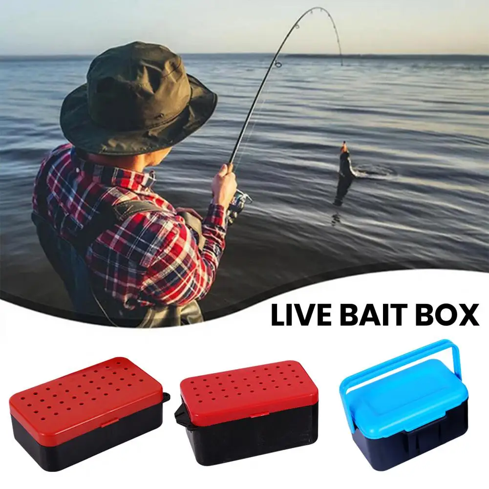 Portable Live Bait Container Double-layer Portable Live Bait Box with Handle for Fishing Lure Tackle Container Ideal for Maggot