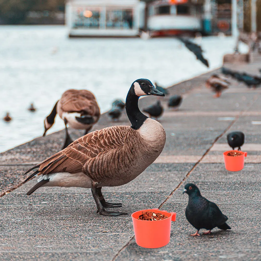 

8pcs Bird Feeding Bowl 1.5Inch Washable Reusable For Parrot Pigeon Chicken Rabbit Cage Food Water Container Birds Supplies Pet