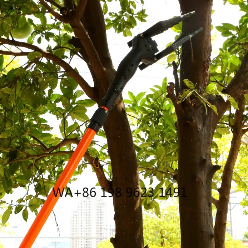 Telescopic garden fruit picking tool reaching 3 meters, easy operation with 1 year warranty, essential practical magic tool