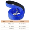 blue leash