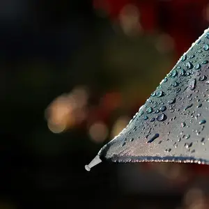 استبدال حبات ذيل المظلة ، نصائح الذيل ، غطاء العظام ، غطاء مظلة قابل للطي ، قطع غيار إصلاح مظلة المطر ، عالمي ، 10 قطع أفضل 6 نصائح للمظلة مبيعا - رقم 6