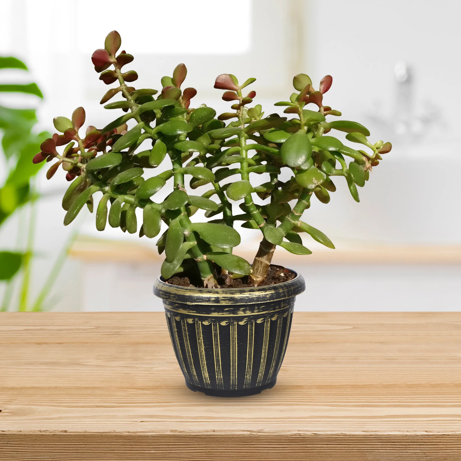 

5pcs Roman Column Flower Pot Garden Planters Resin Planter Sturdy Durable Scratch Resistant Bonsai House Plants