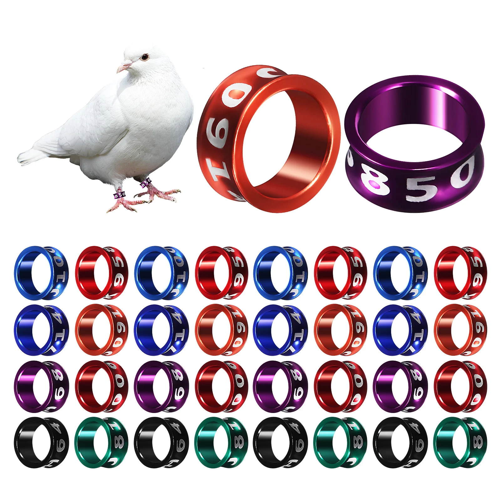 

50 pcs Closed Bird Leg Bands Metal Material Bright Colors for Parrots Pigeons Chickens Small Animals Identification Safety Pet
