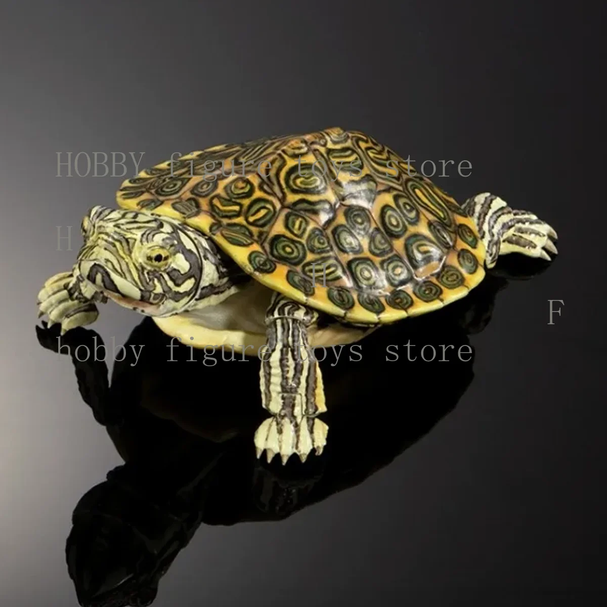 Bandai Original Gashapon Biological Atlas Anime Figur Turtle 02 Bewegliche Schildkröte Anime Actionfiguren für Hobby Kinder Modell Geschenke