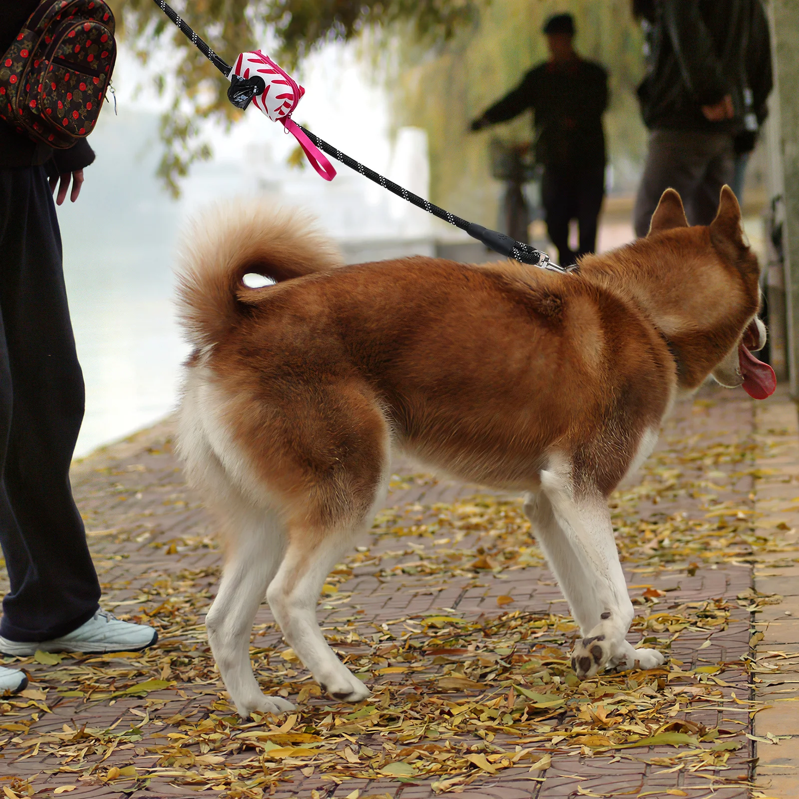 

1Set Nylon Dog Leash Outdoor Supplies Heavy Duty Traction Rope Poop Bags Dispenser Portable Walking Kit Dog Leash