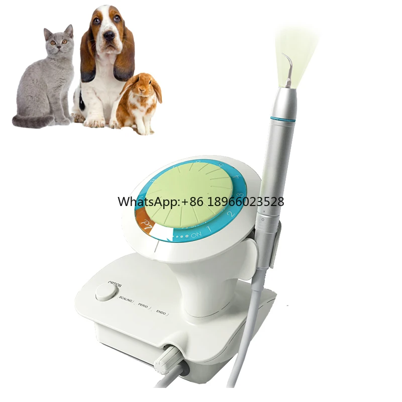 Pneumatic Dental Care Air Scaler Animal Ultrasonic Scaler Dental Teeth Cleaner for Animal