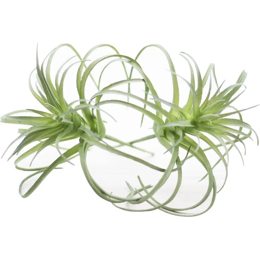 

Маленькие искусственные растения выглядит настоящими суккулентами, искусственная зелень, бромелады для сада, украшения для дома и офиса, зеленый флокированный Pl